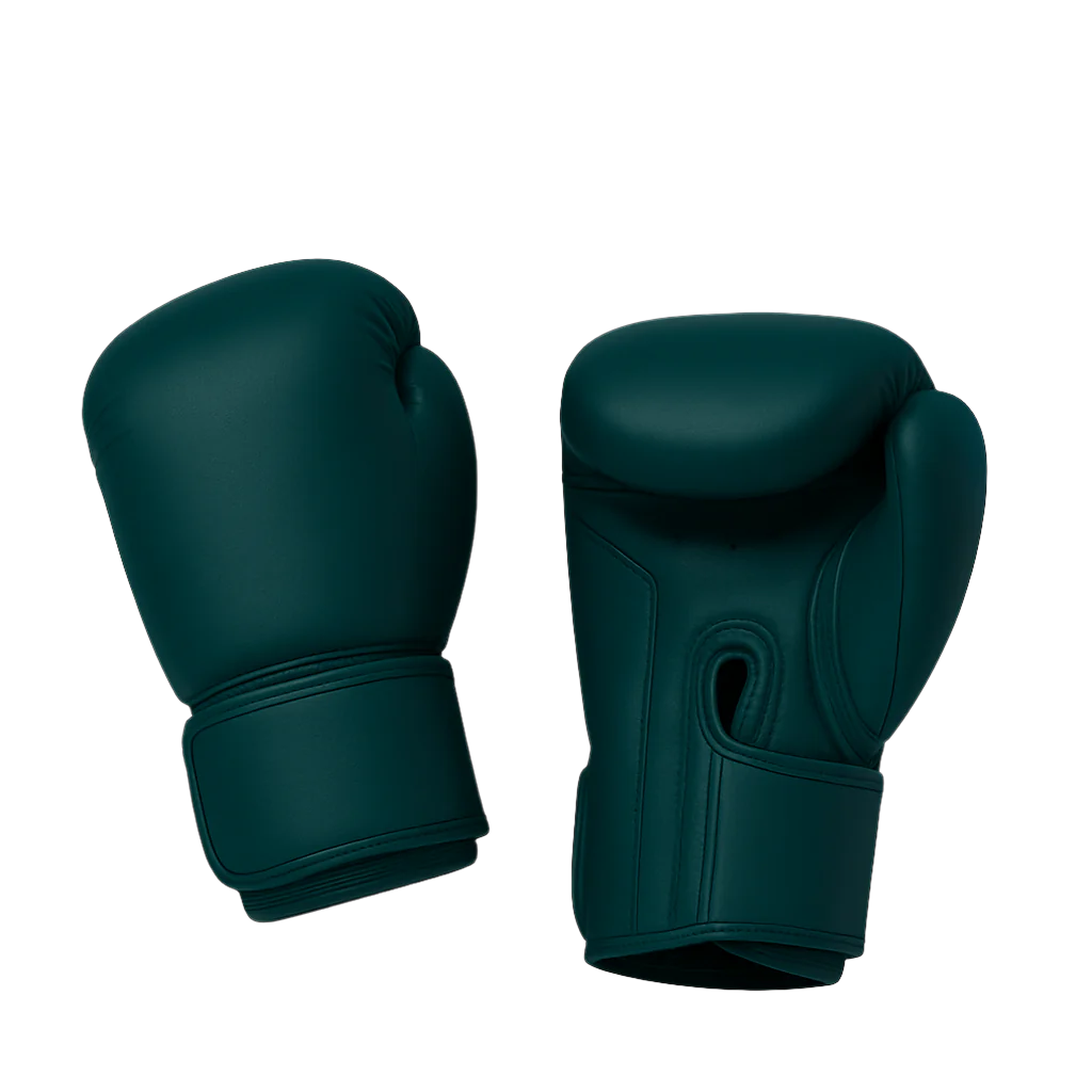 Boxing gloves test 4
