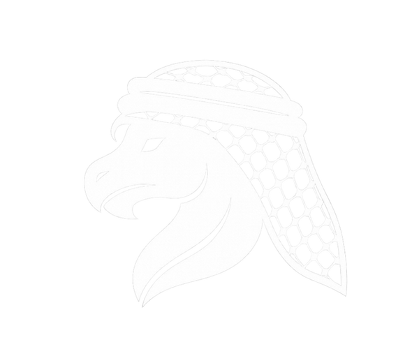 Tananeen.com logo - dragon with Arab headgear