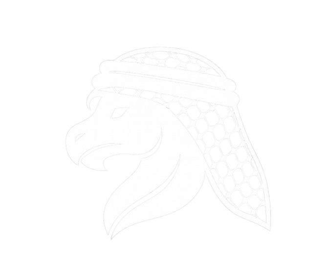 Tananeen.com logo - dragon with Arab headgear