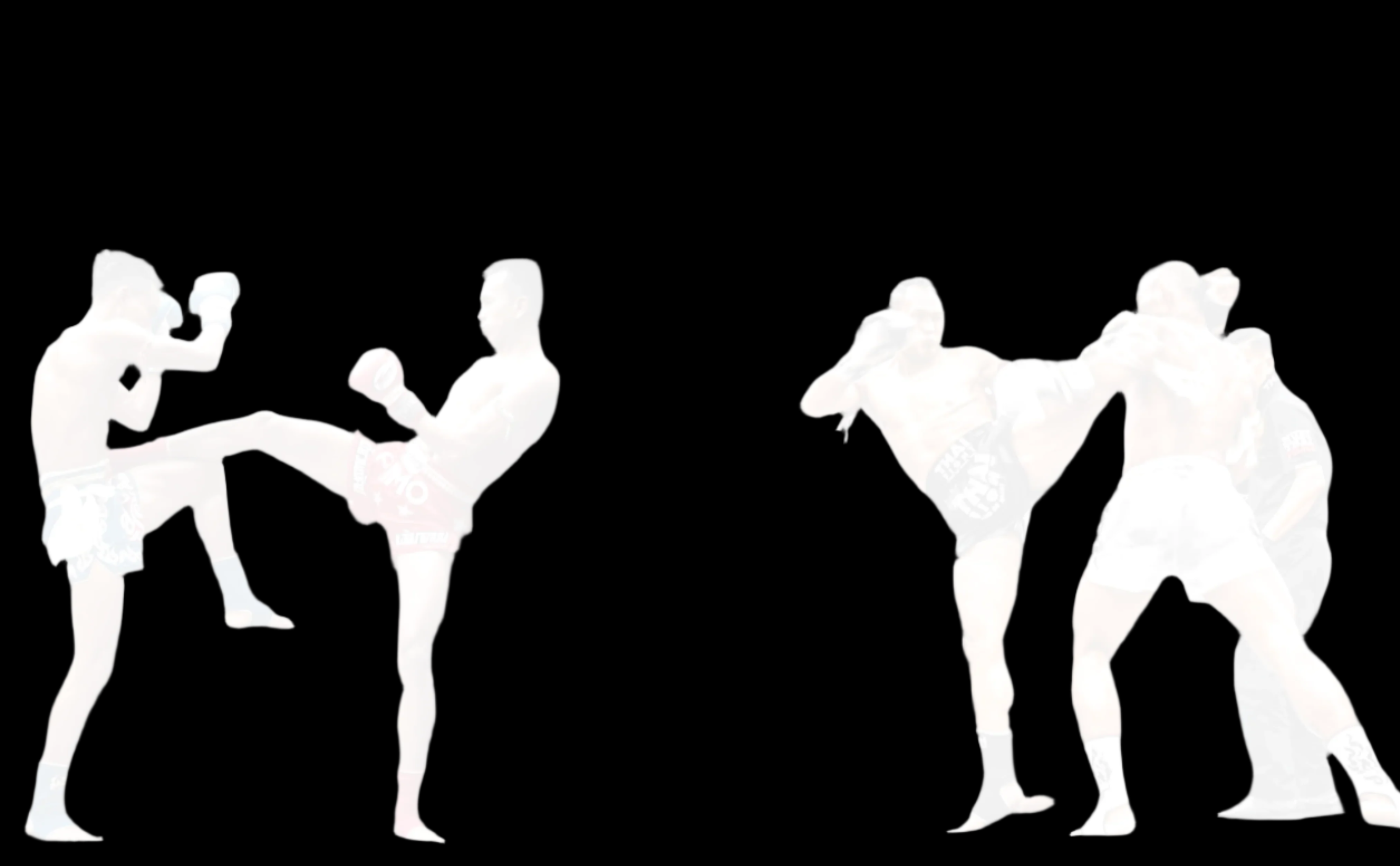 Muay Thai Fighters Silhouette